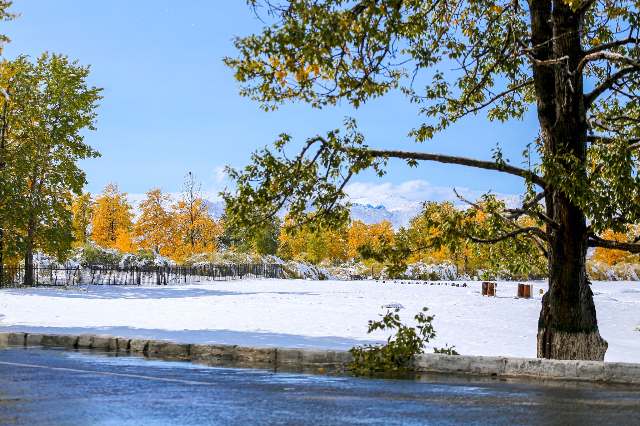 Хатгамлын гоёл